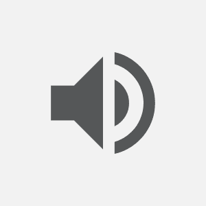 02 - audio 2 - sesi 80 presença que transforma