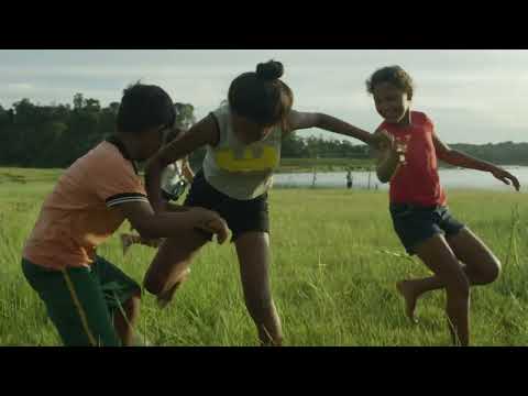 Um dia nas Amazônias - Exposição BiOCAnomia Amazônica - Sala 04