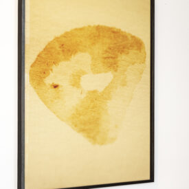Fotografia de composição em formato de lâmina de alho no papel de aquarela com suco de limão assado em forno doméstico.